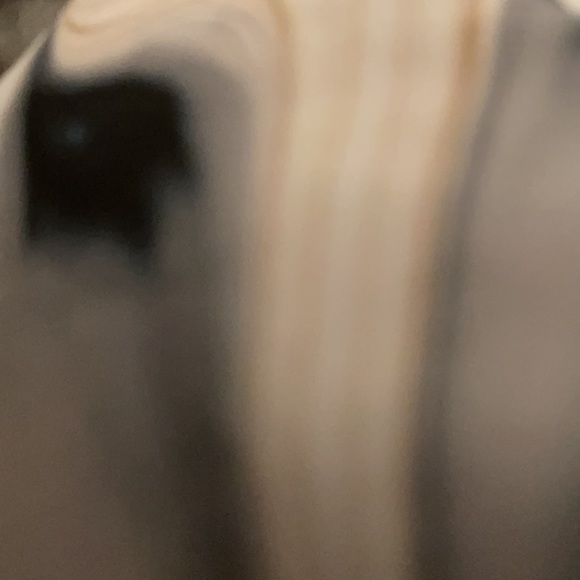 Jazz Gap Extrav and More - Picture 2 of 2